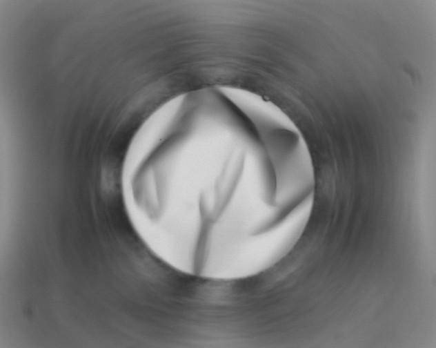 X0000113540138200910161420