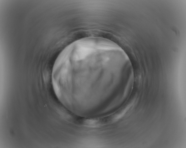 X0000113540139200910161420