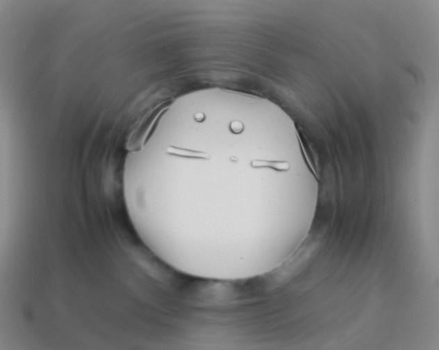 X0000113540140200910161420
