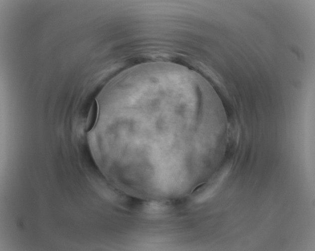 X0000113540141200910161420