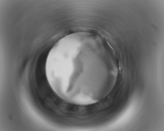 X0000113540143200910161420