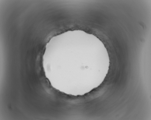 X0000113540144200910161420