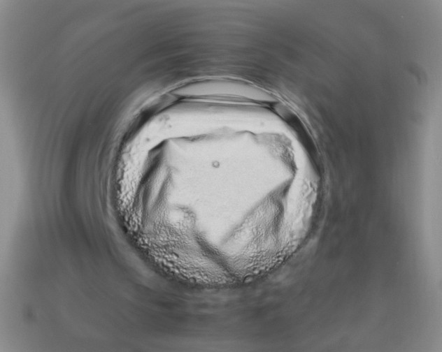 X0000113540145200910161419
