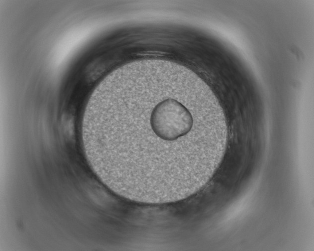 X0000113540146200910161419
