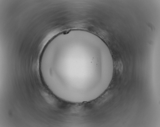X0000113540148200910161419