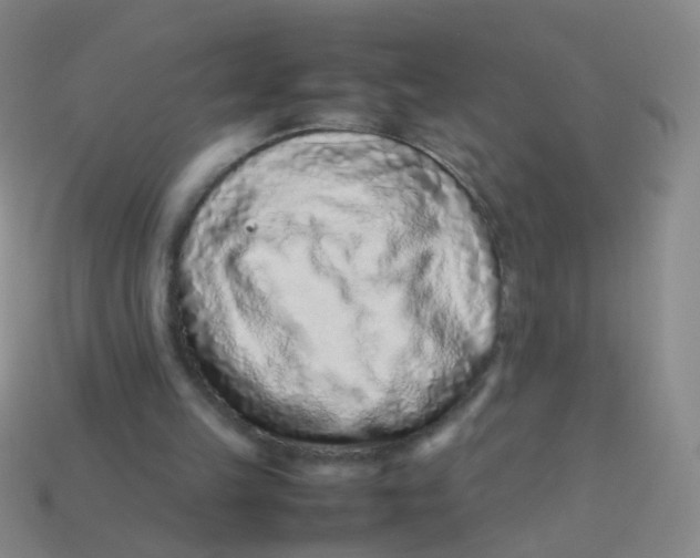 X0000113540149200910161419