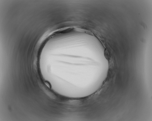 X0000113540150200910161419