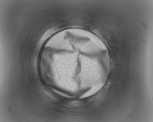 X0000113540151200910161419