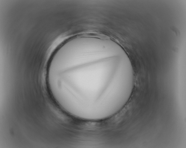 X0000113540152200910161419