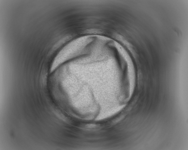 X0000113540153200910161419