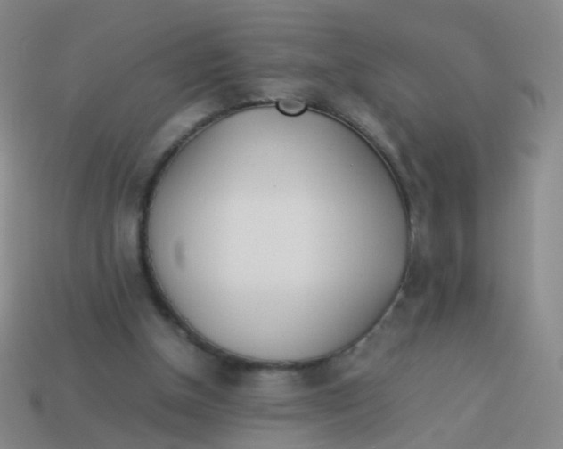 X0000113540154200910161419
