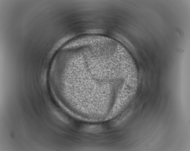 X0000113540155200910161419