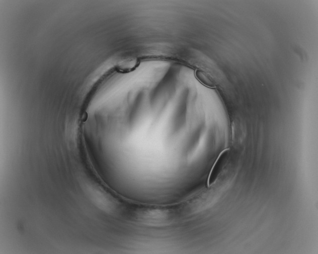 X0000113540156200910161419