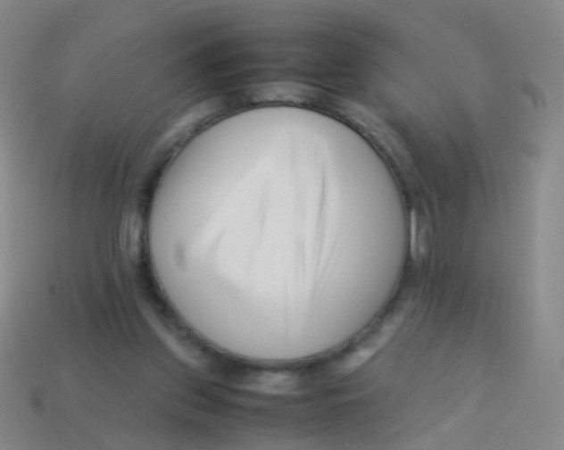 X0000113540157200910161419