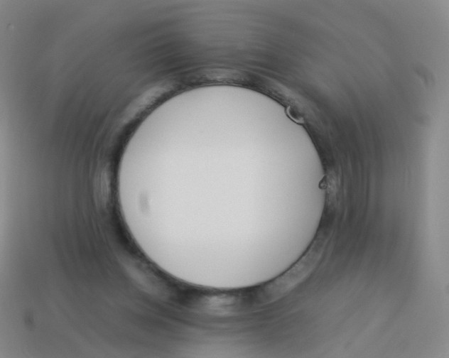 X0000113540158200910161419