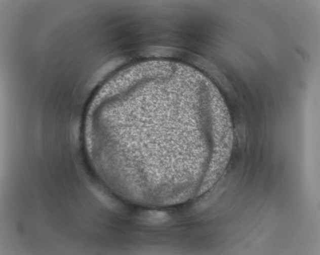 X0000113540159200910161419