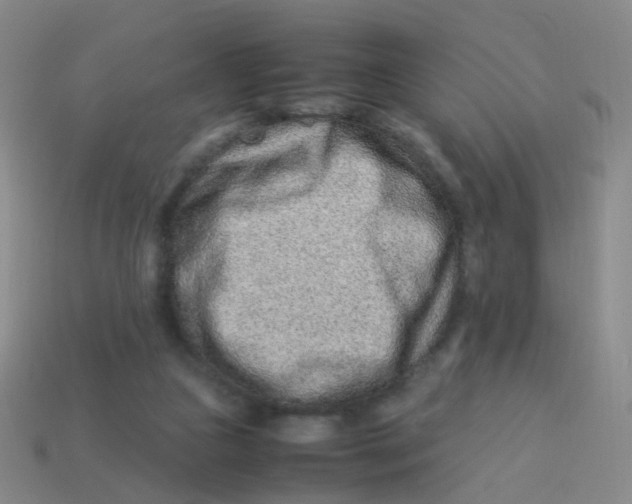 X0000113540161200910161419