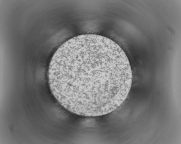 X0000113540162200910161419