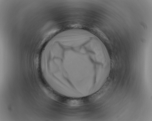X0000113540163200910161419