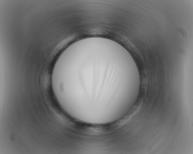 X0000113540164200910161419