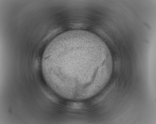 X0000113540165200910161419