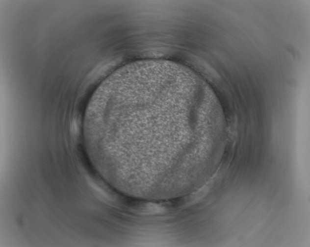 X0000113540166200910161420