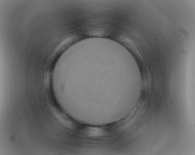 X0000113540167200910161420