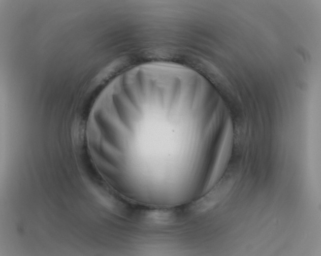 X0000113540168200910161420