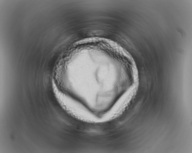 X0000113540169200910161420