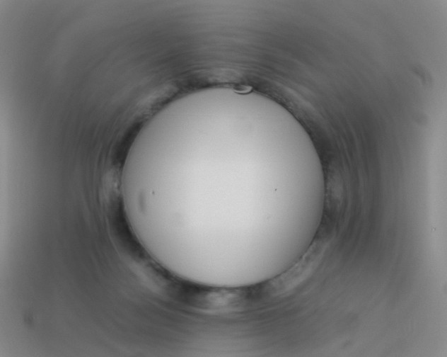 X0000113540172200910161420