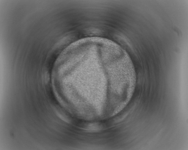 X0000113540173200910161420