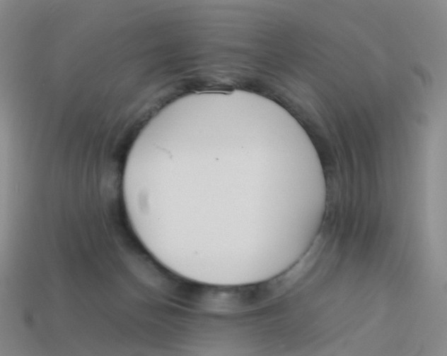 X0000113540174200910161420