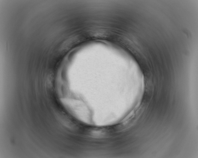 X0000113540175200910161420