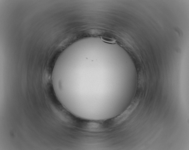 X0000113540176200910161420