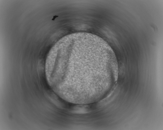 X0000113540179200910161420