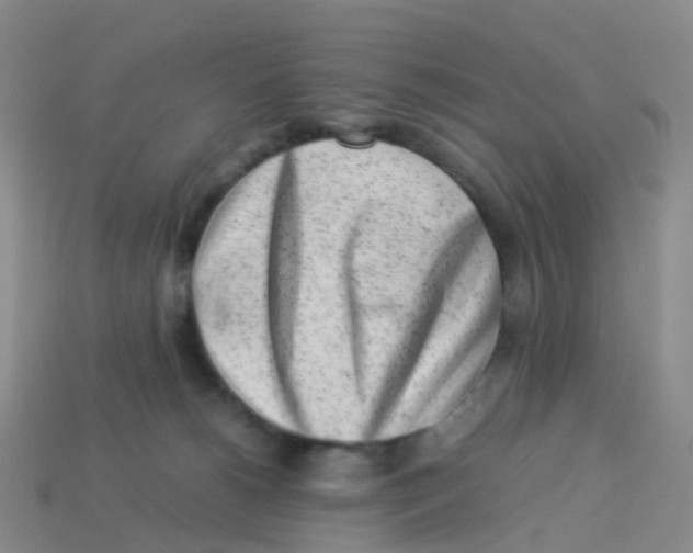 X0000113540180200910161420