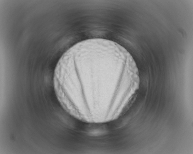X0000113540181200910161420