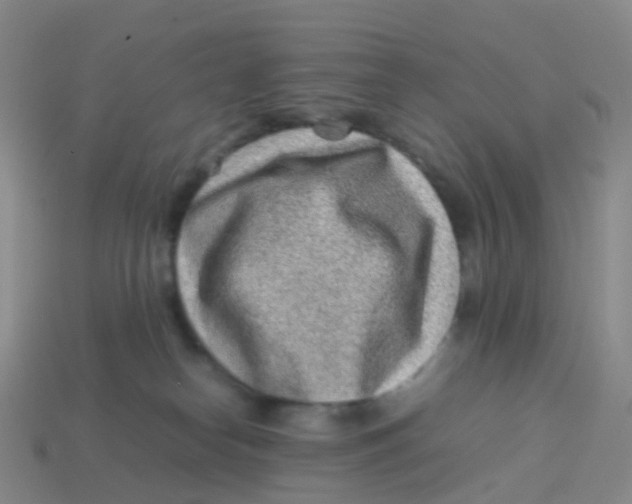 X0000113540182200910161420