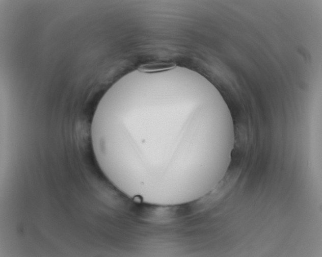 X0000113540184200910161420