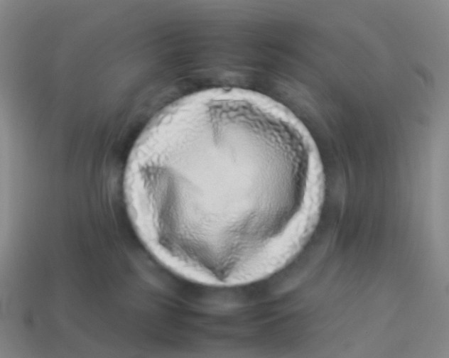 X0000113540185200910161420