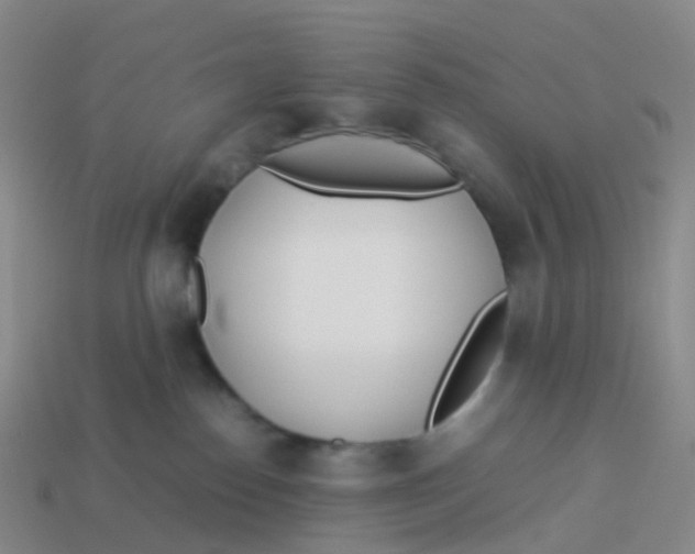 X0000113540186200910161420