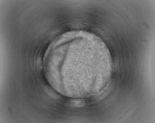 X0000113540187200910161420