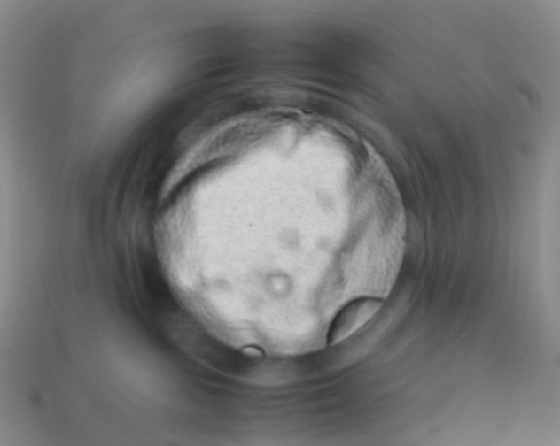 X0000113540189200910161420