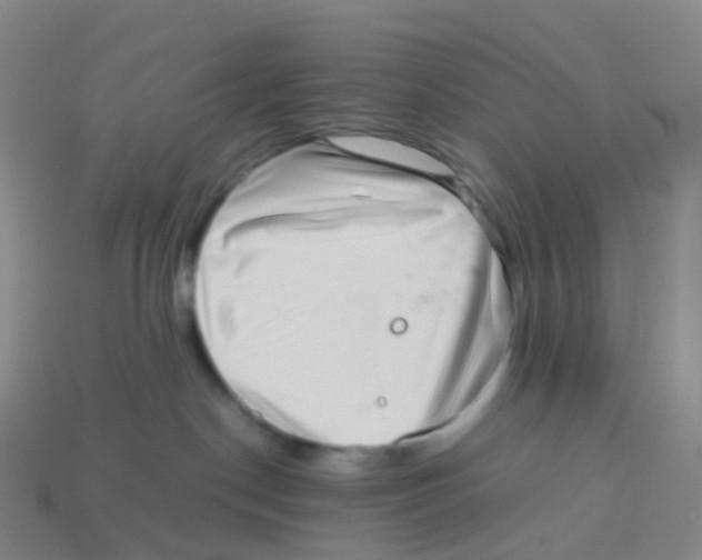 X0000113540190200910161420