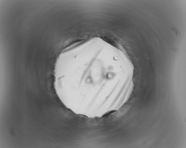 X0000113540192200910161420