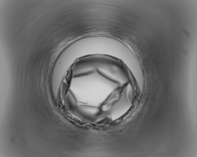 X0000113540193200910161419