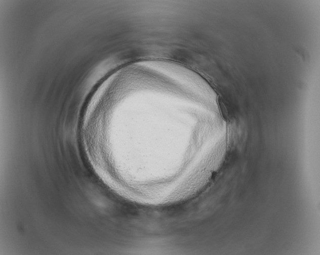 X0000113540195200910161419