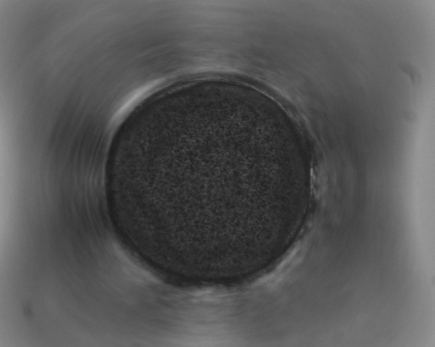 X0000113540196200910161419