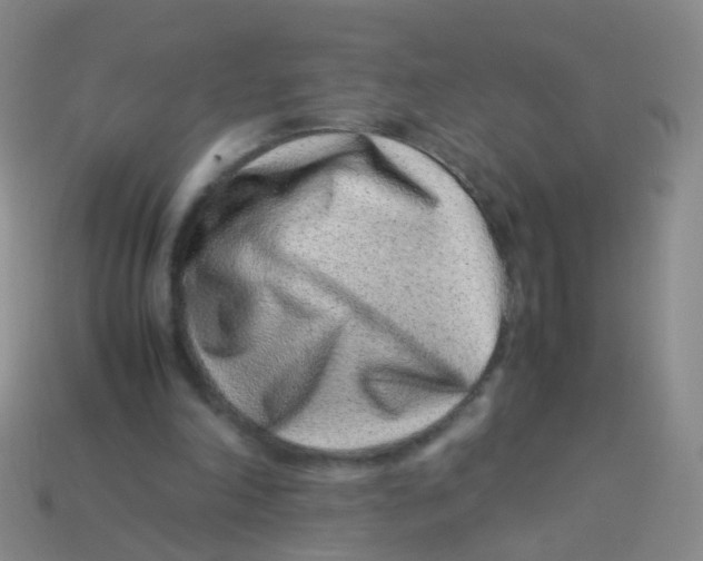X0000113540198200910161419