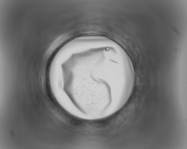 X0000113540199200910161419